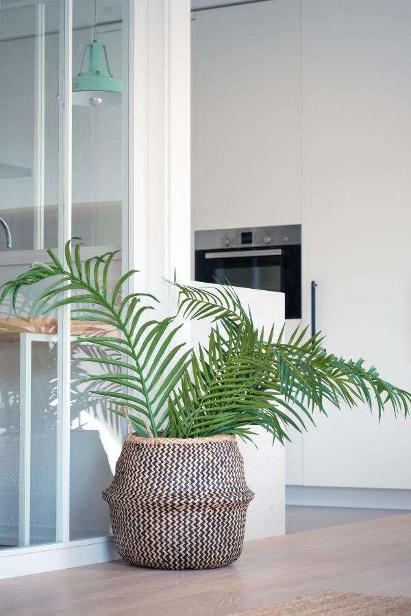 Apartamento Loiola Azpeitia Extérieur photo